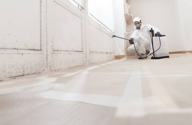 24/7 Emergency Black Mold Removal experts in North Bend, WA